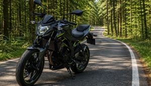 kawasaki z125 sur une route de forêt